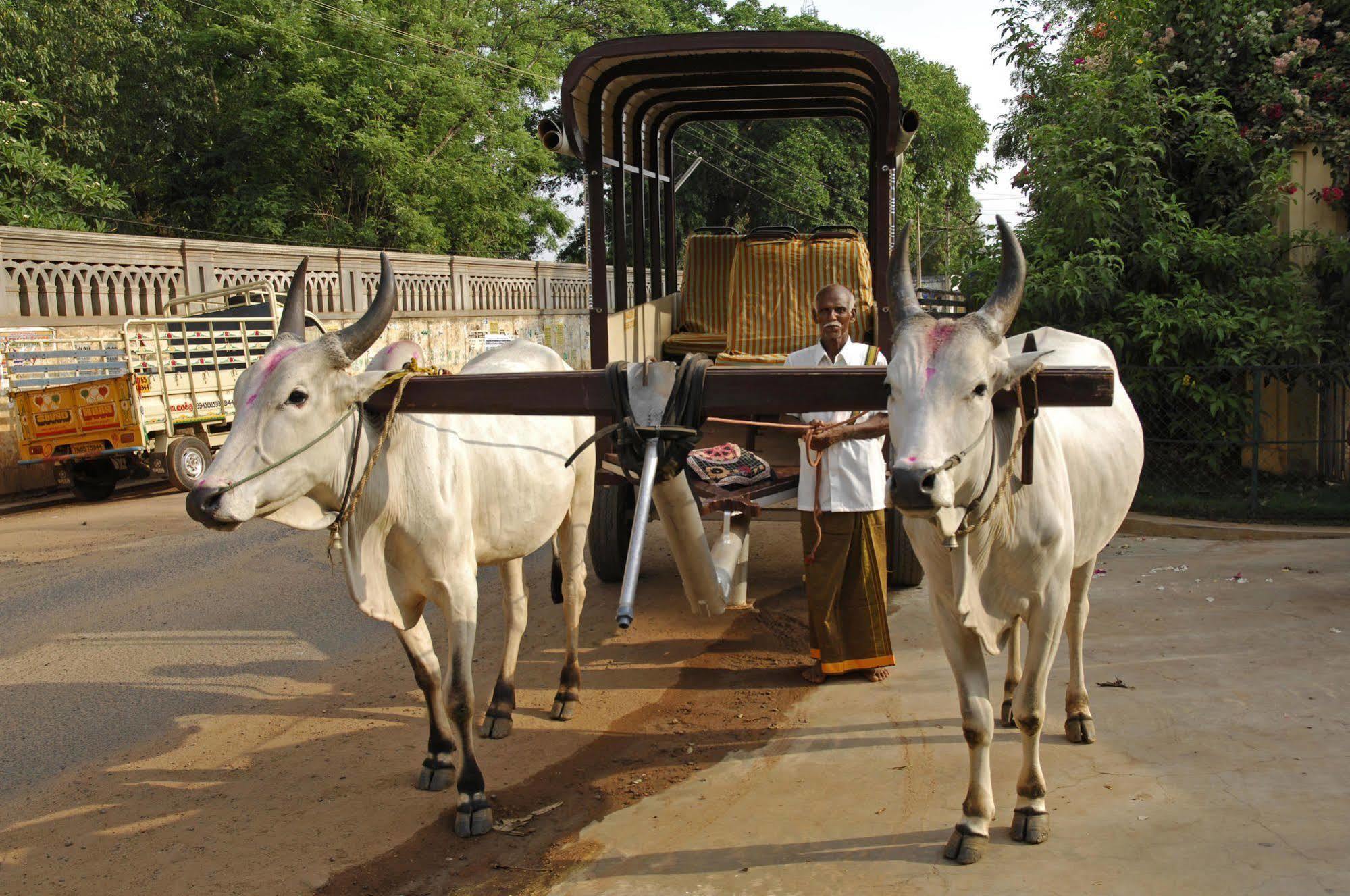 Visalam Chettinad Palace - A Cgh Earth Experience Kānādukāttān Kültér fotó
